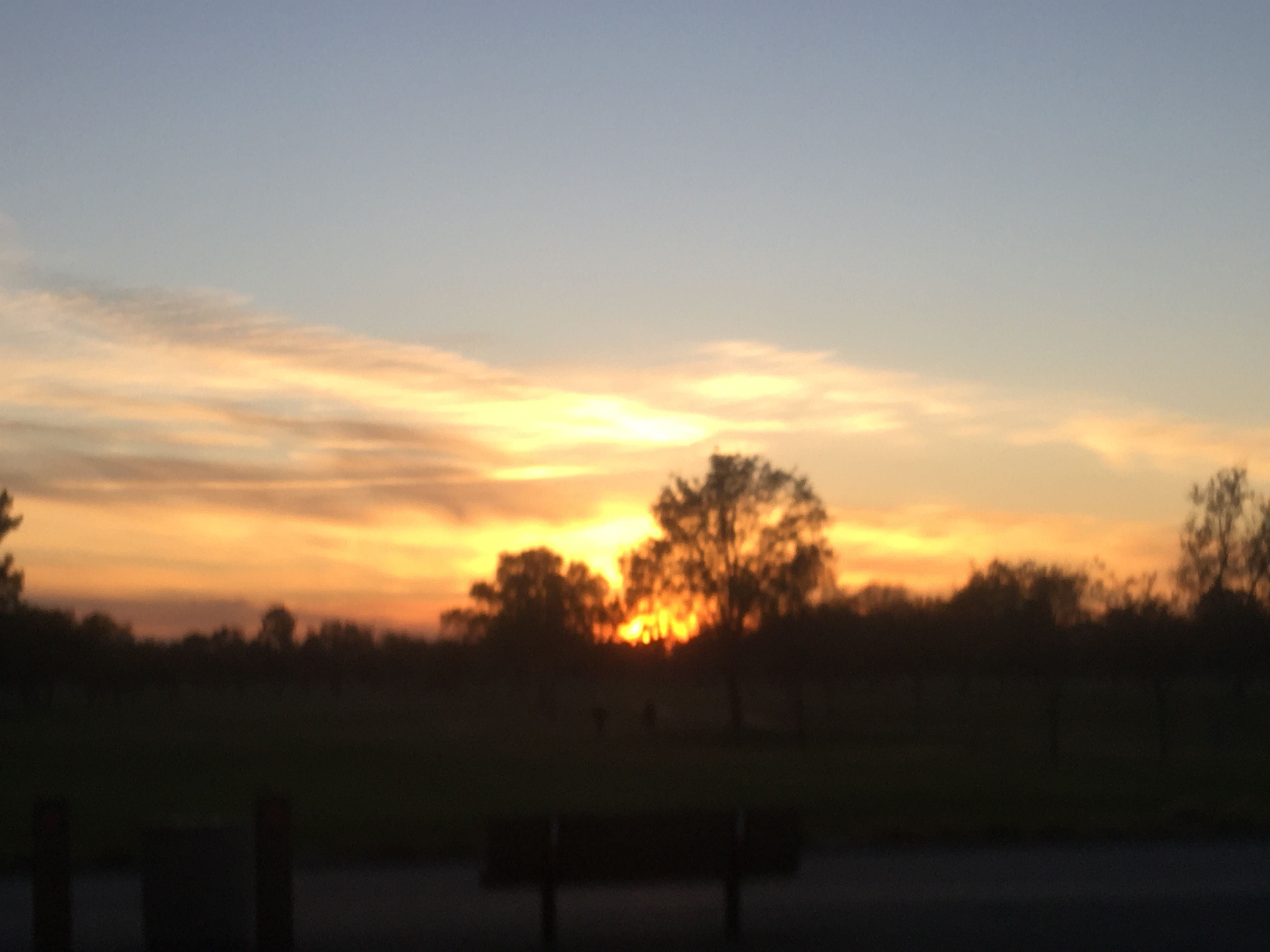 A sunset in the Central Valley of California.     
 Photo Credit: SpencersMedia